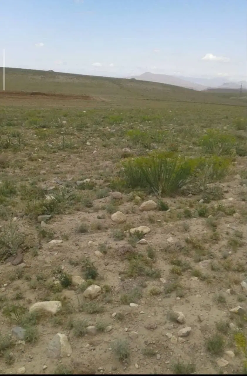 زمین در غدیر شهر خیابان ۱۸متری الزهرا