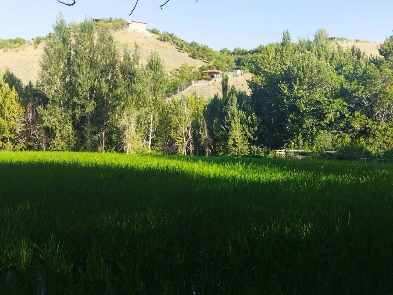 اجاره منزل لب رود خانه