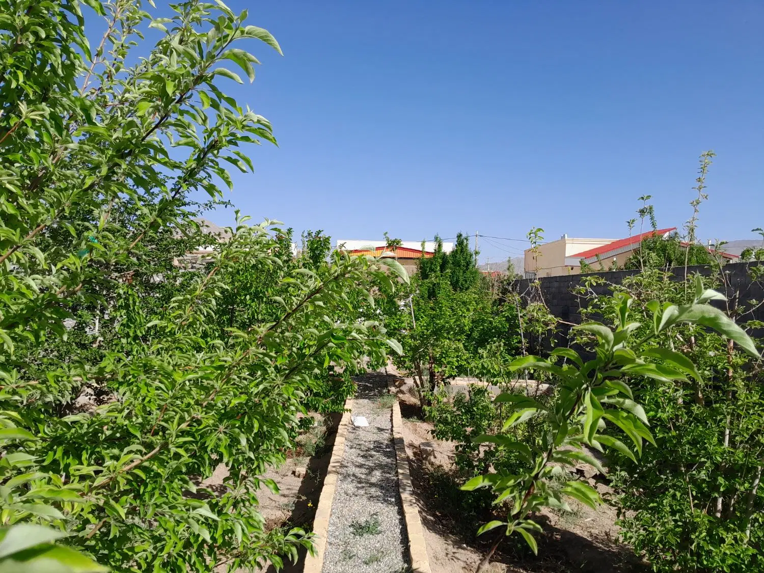 خونه باغ