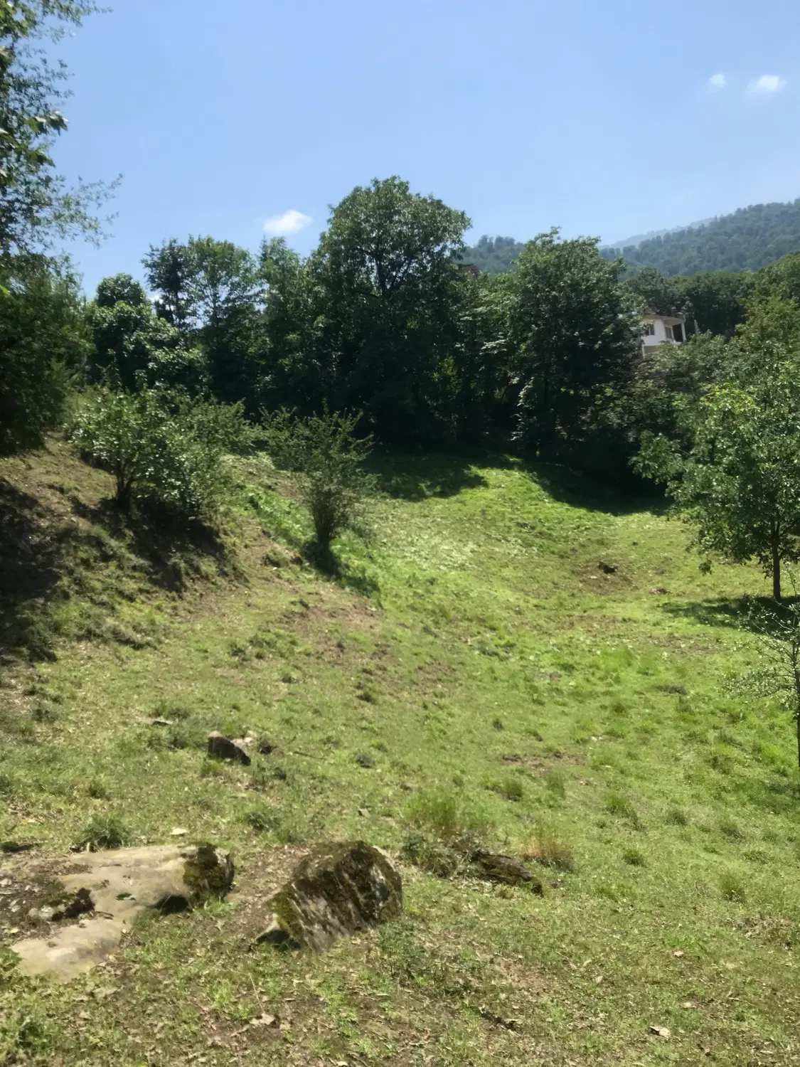 زمین  فروشی. در مازندران  چمستان  لاویج بهبنک
