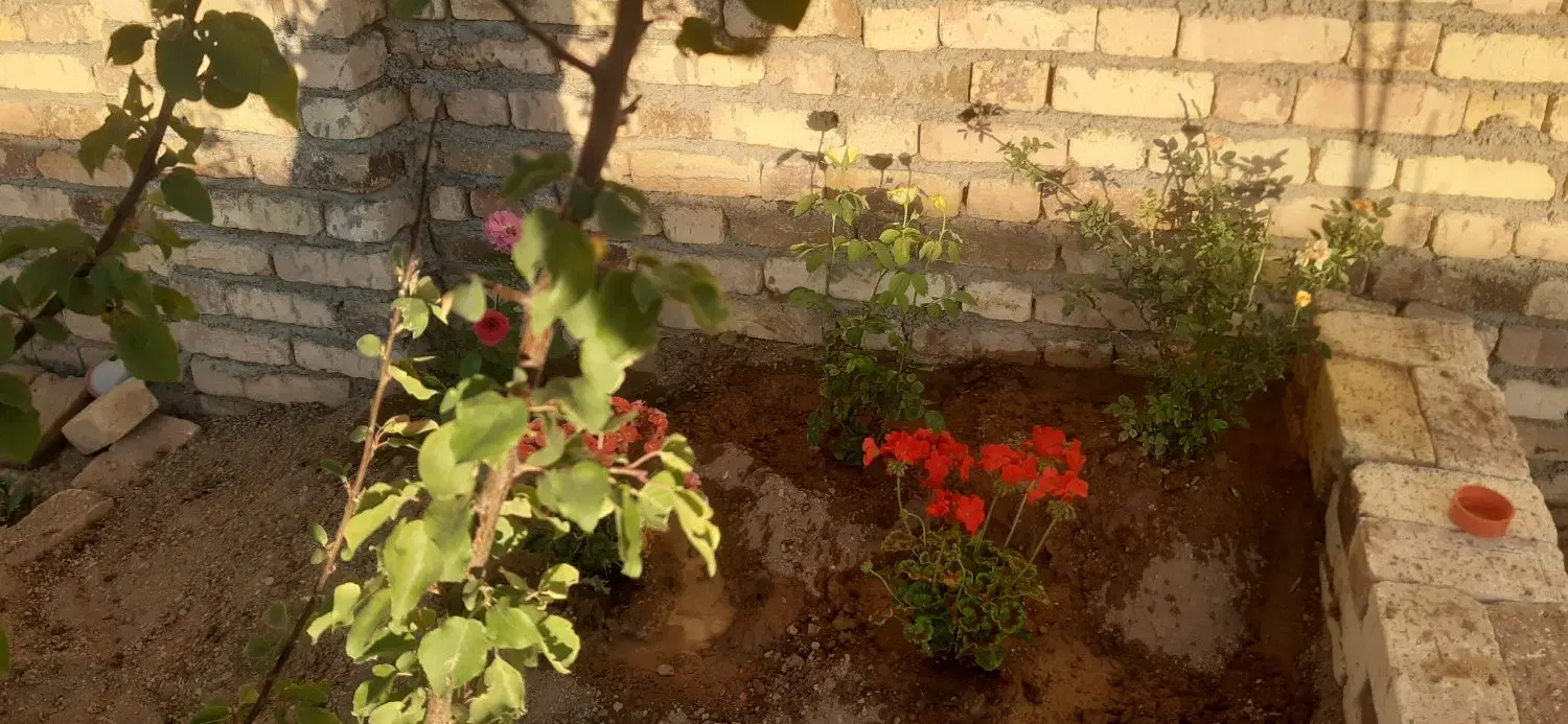 باغ فروشی منطقه احتشامیه سمت کمربندی جدید