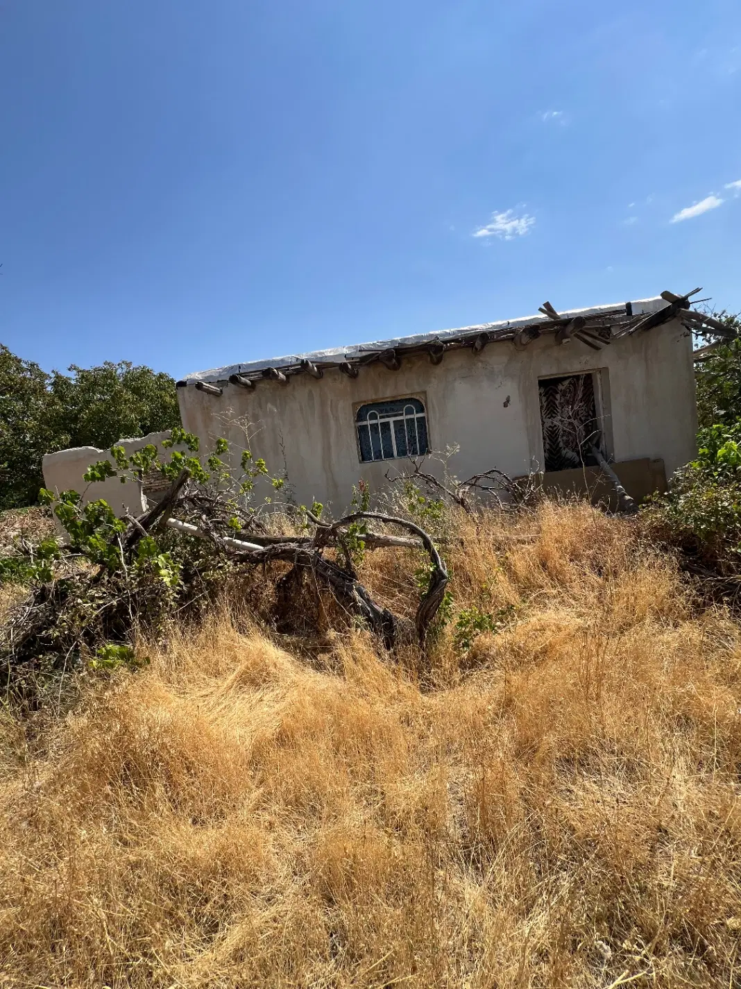 باغچه ویلایی با مجوز گاز روشن کولق ( املاک عمارت)