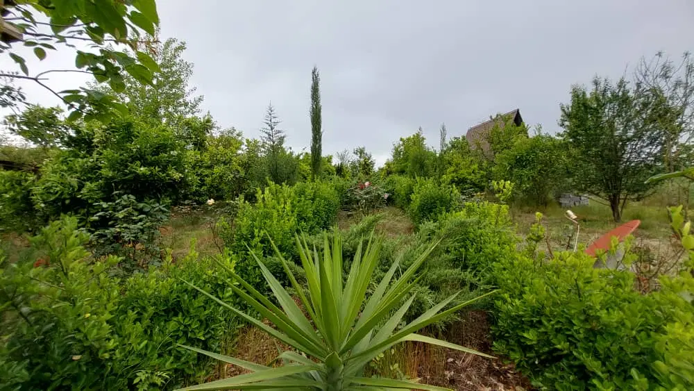 تهاتر مصالح ساختمانی