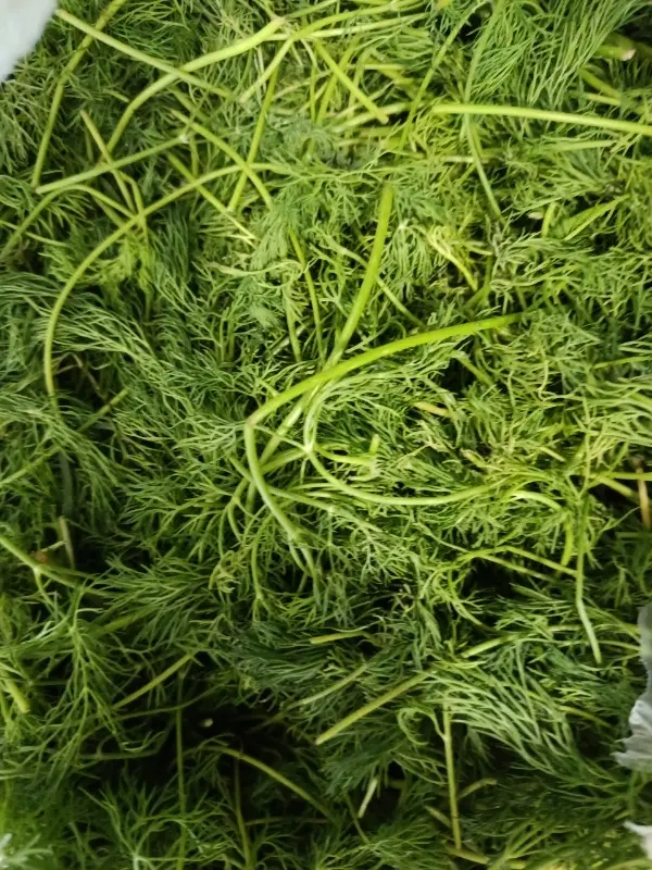 واگذاری مغازه آبگیری لیمو و ترشیجات و سبزی