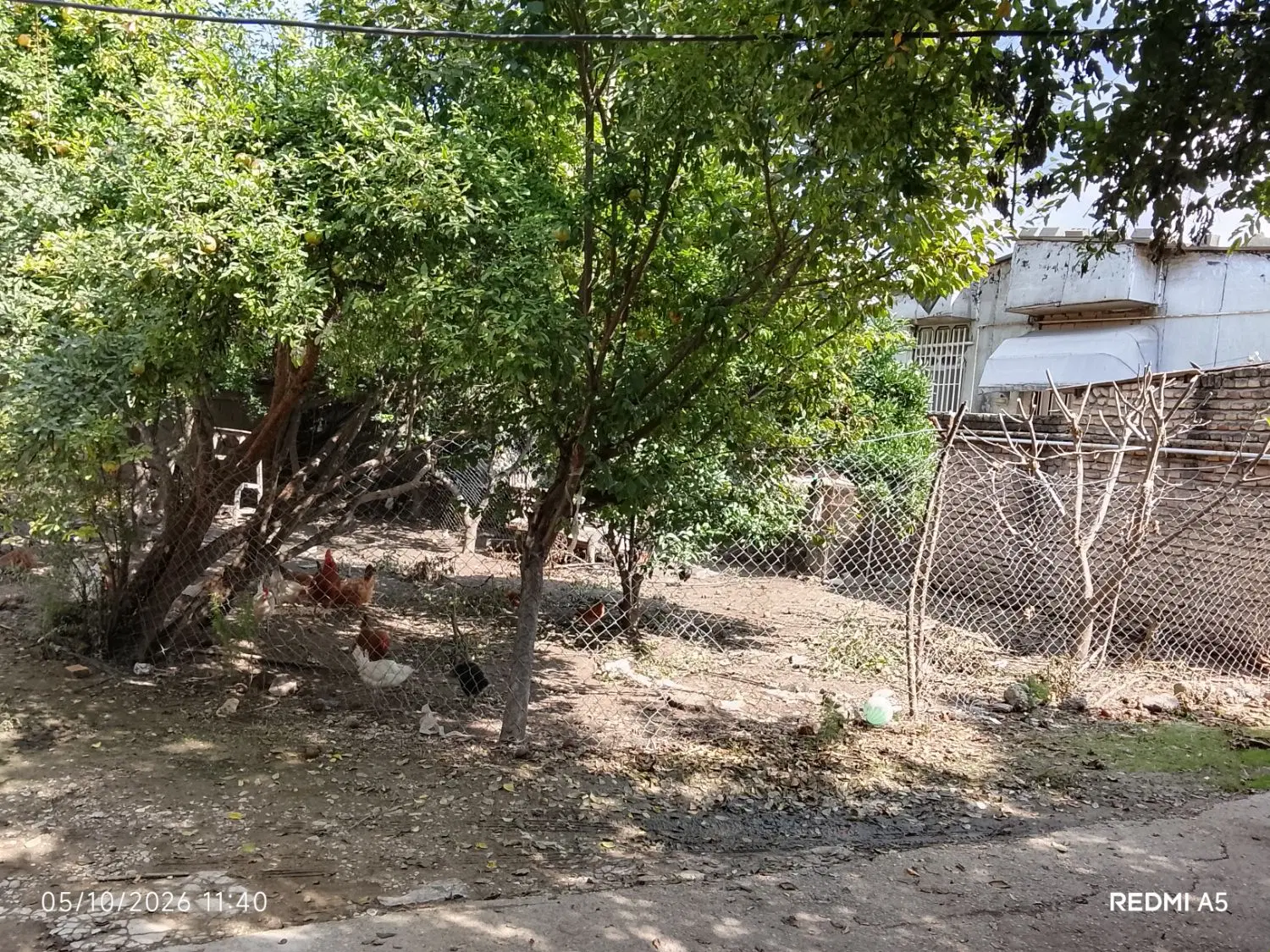 زمین مسکونی ۱۳۰متری