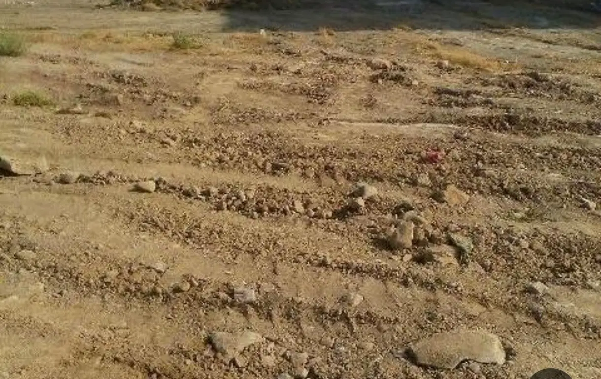 فروش چند قطعه زمین جاده داک سرجاده اصلی