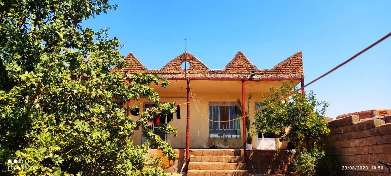 ساختمان و دامداری