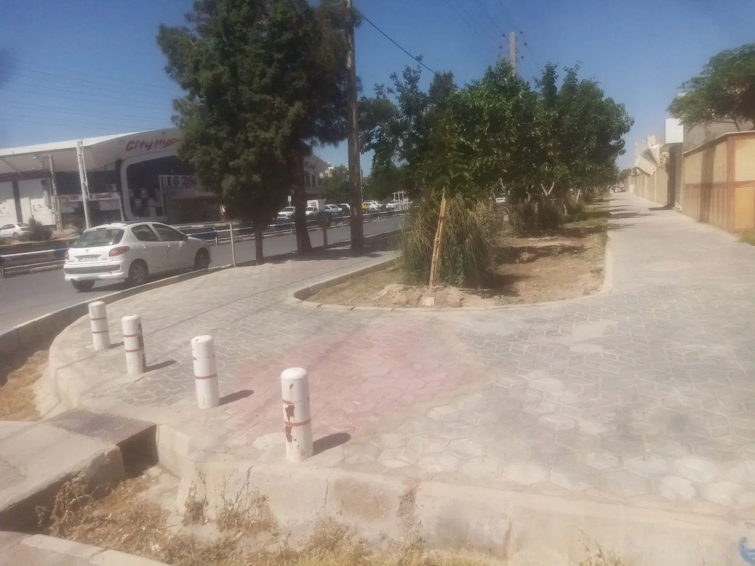 شاهین شهر گلدیس