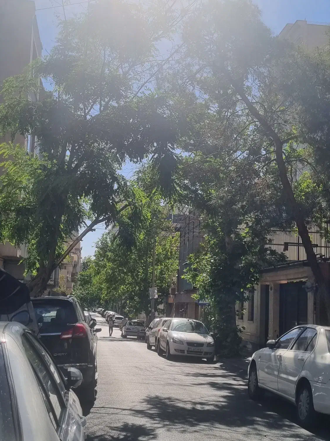 420 منر بر 12 مطهری سلیمان خاطر