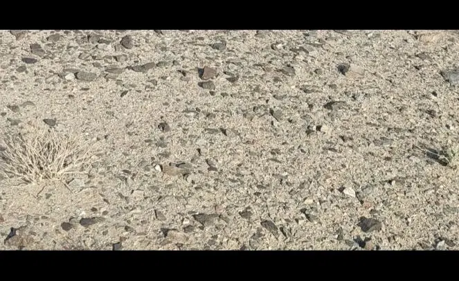 فروش زمین سفیدک زاهدان