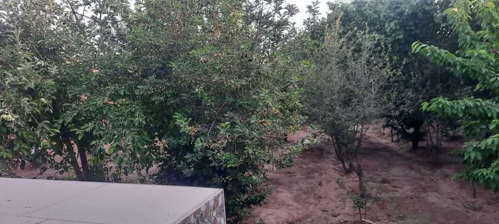 رهن و اجاره ویلایی فردوسی