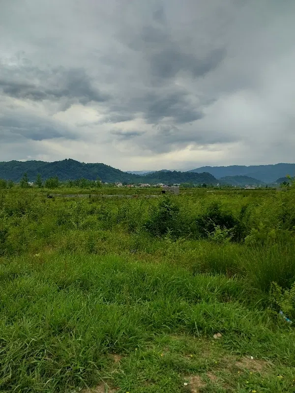 ۱۰۰۸متر زمین کوهبنه لاهیجان