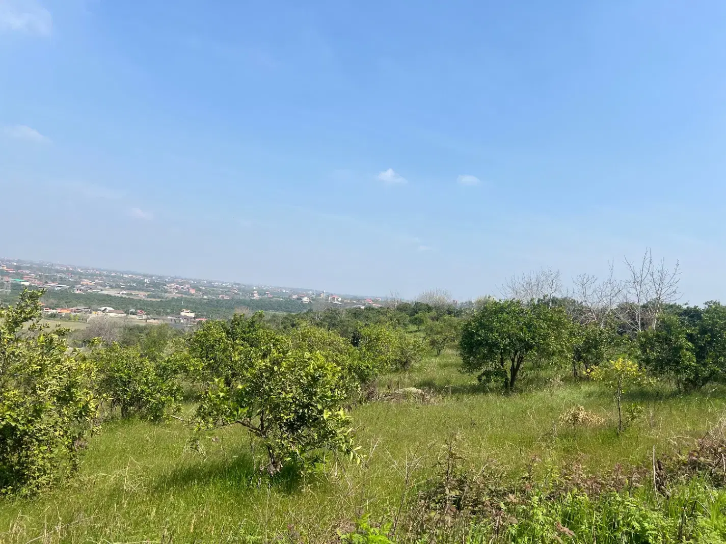 زمین یک هکتاری