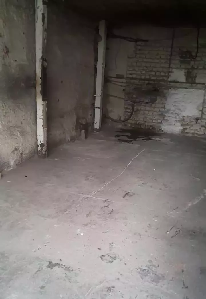 کارگاه