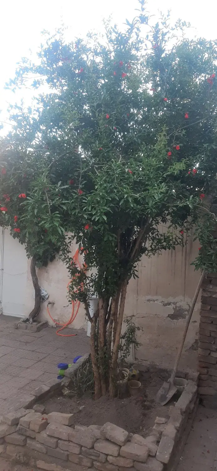خانه ویلایی ۲۰۰ متری