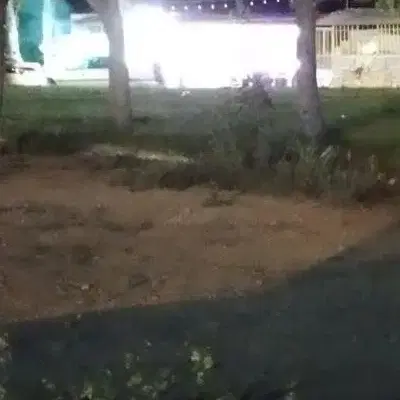 خانه مالم گرگه بوسنن دیوزند