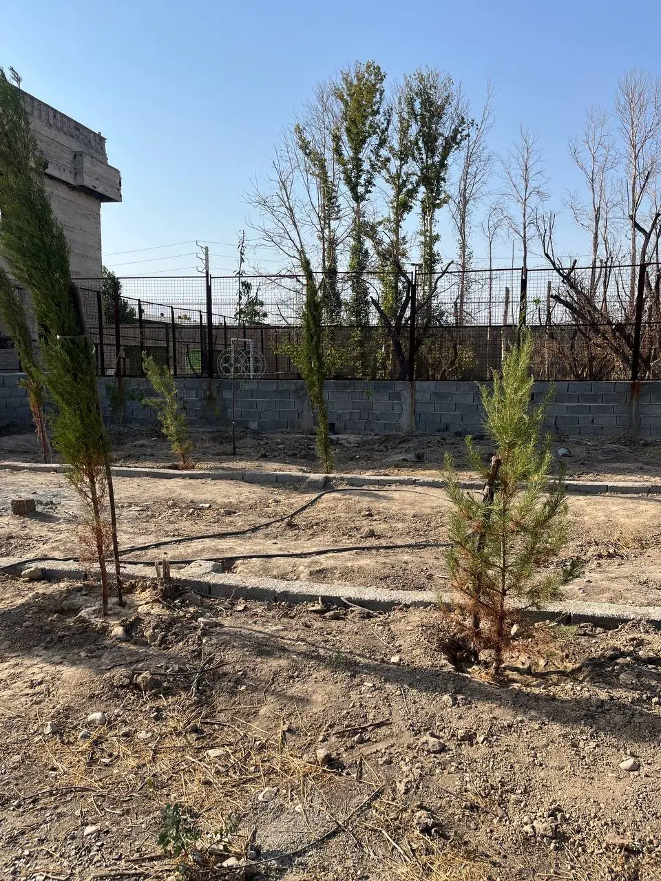 ۴۵۰ متر باغچه در خوشنام