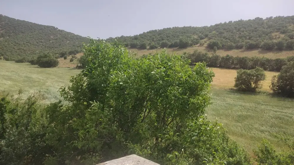 فرصت سرمایه گذاری استثنایی