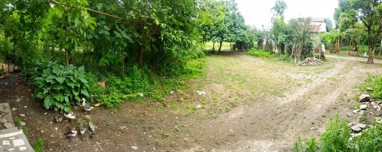 زمین مسکونی 235 سراوان