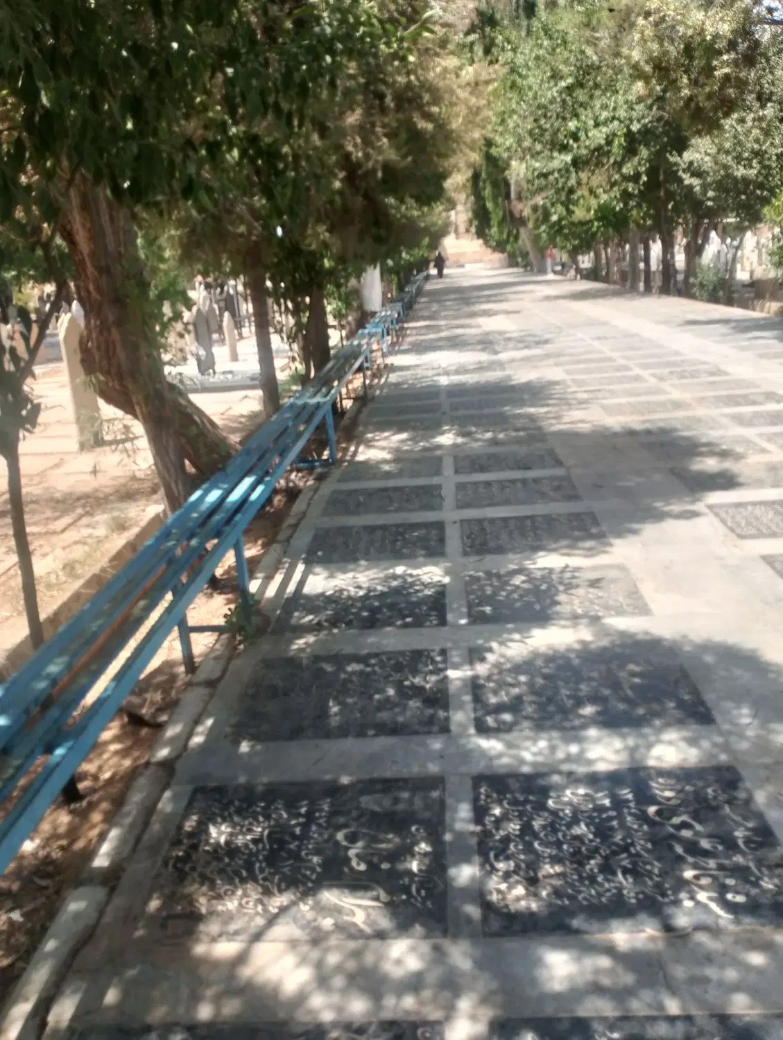 فروش.       قبر