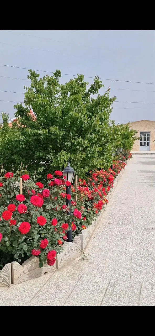 باغ ویلا موقعیت بینظیر شاهنامه
