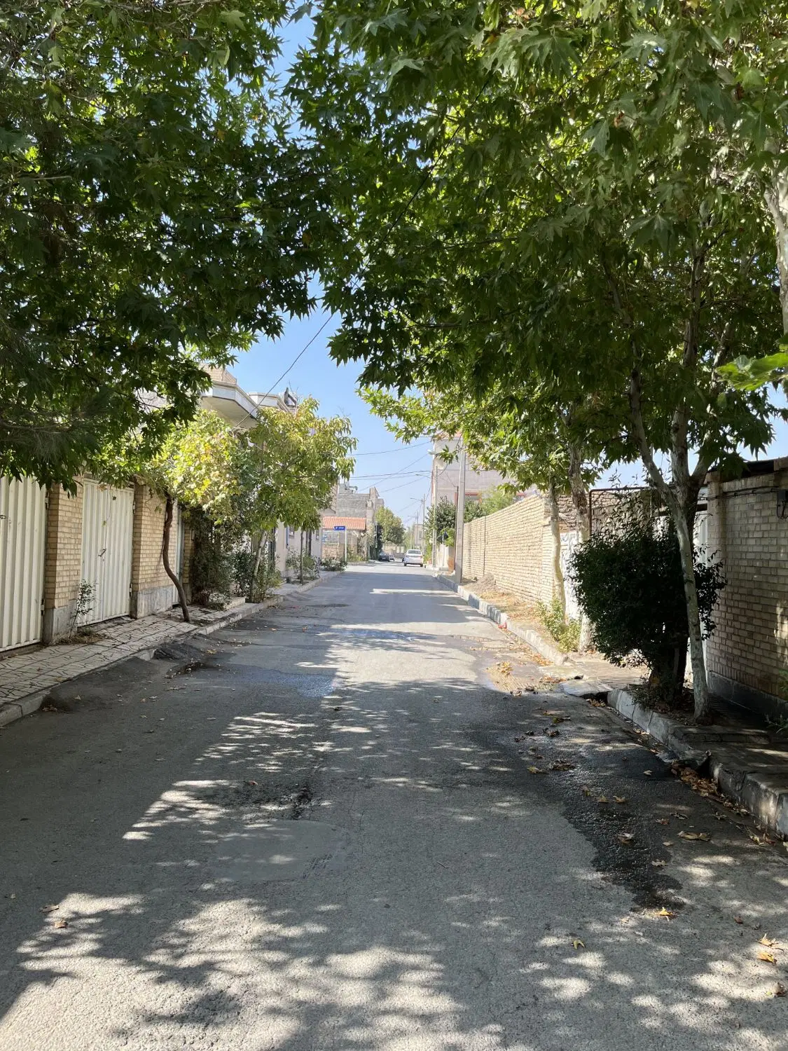(زمین فروشی فرهنگیان شاندیز )