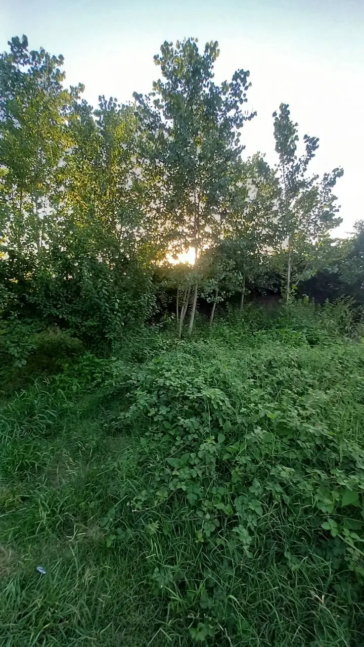 زمین ۲۰۰متری