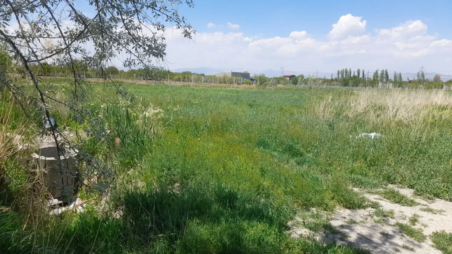 زمین کشاورزی ۱۰۰۰ متر شورکند