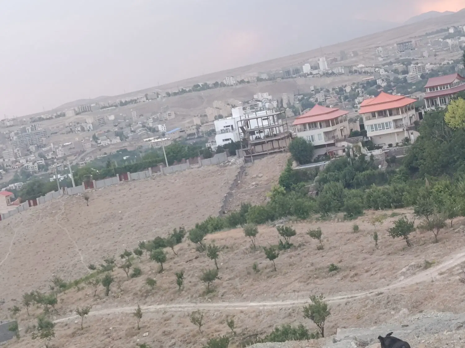فروش زمین