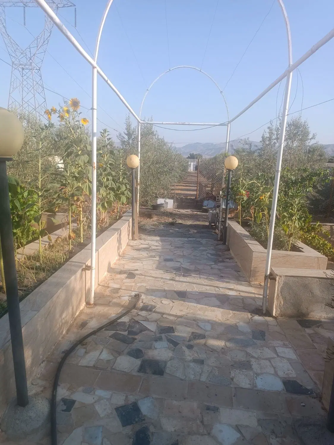 ویلا باغ صنعتی