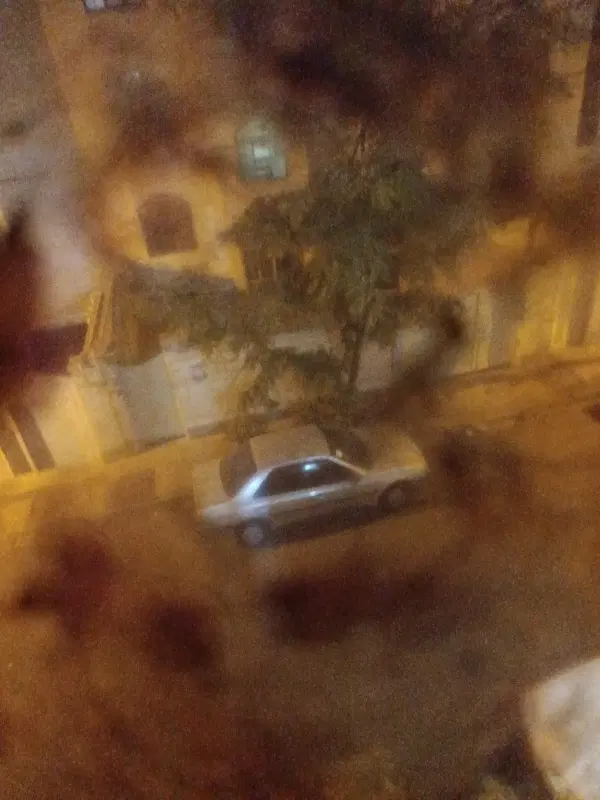 باغ بر خیابان اصلی