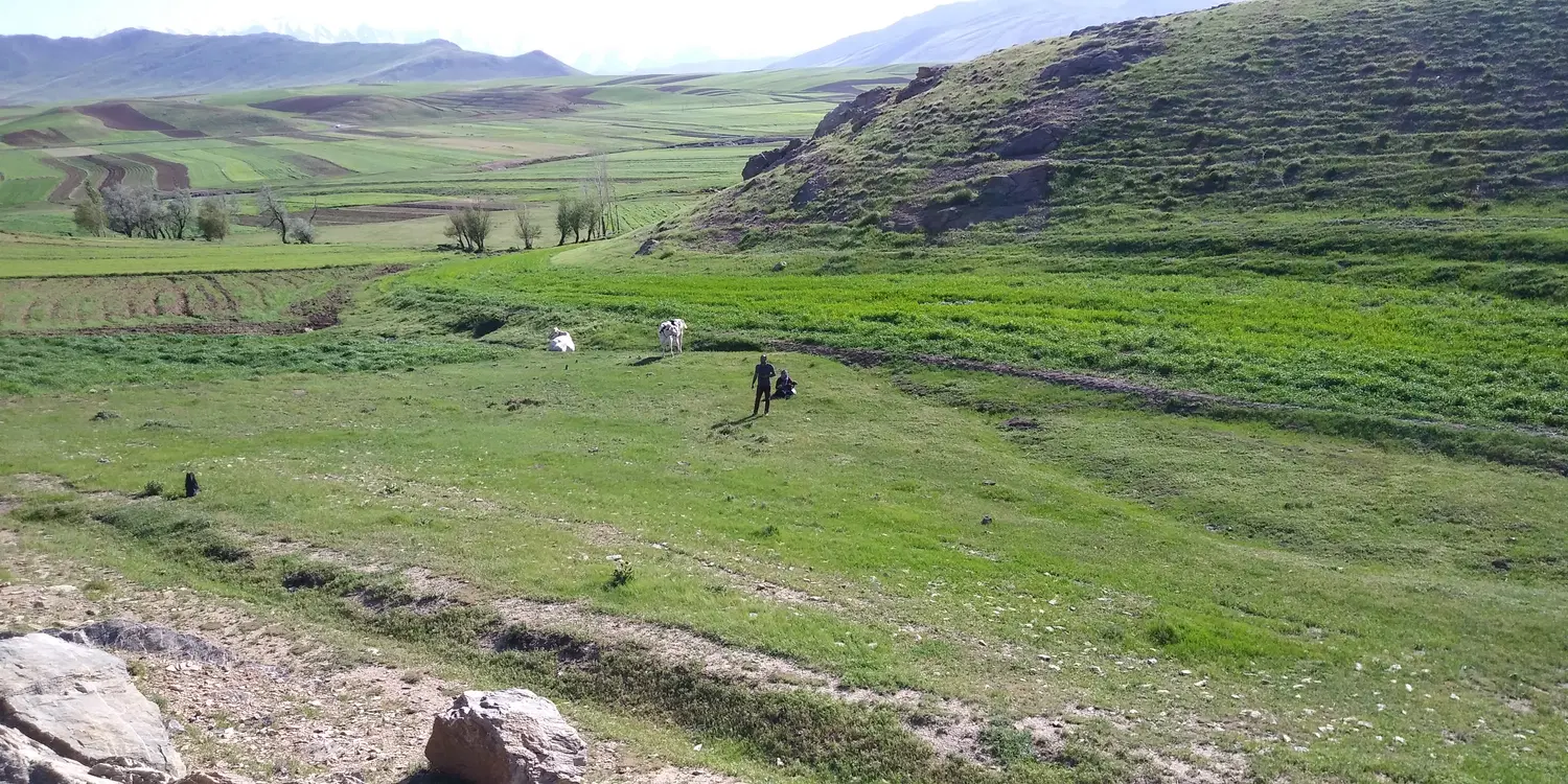 زمین مسکونی روستای موشله