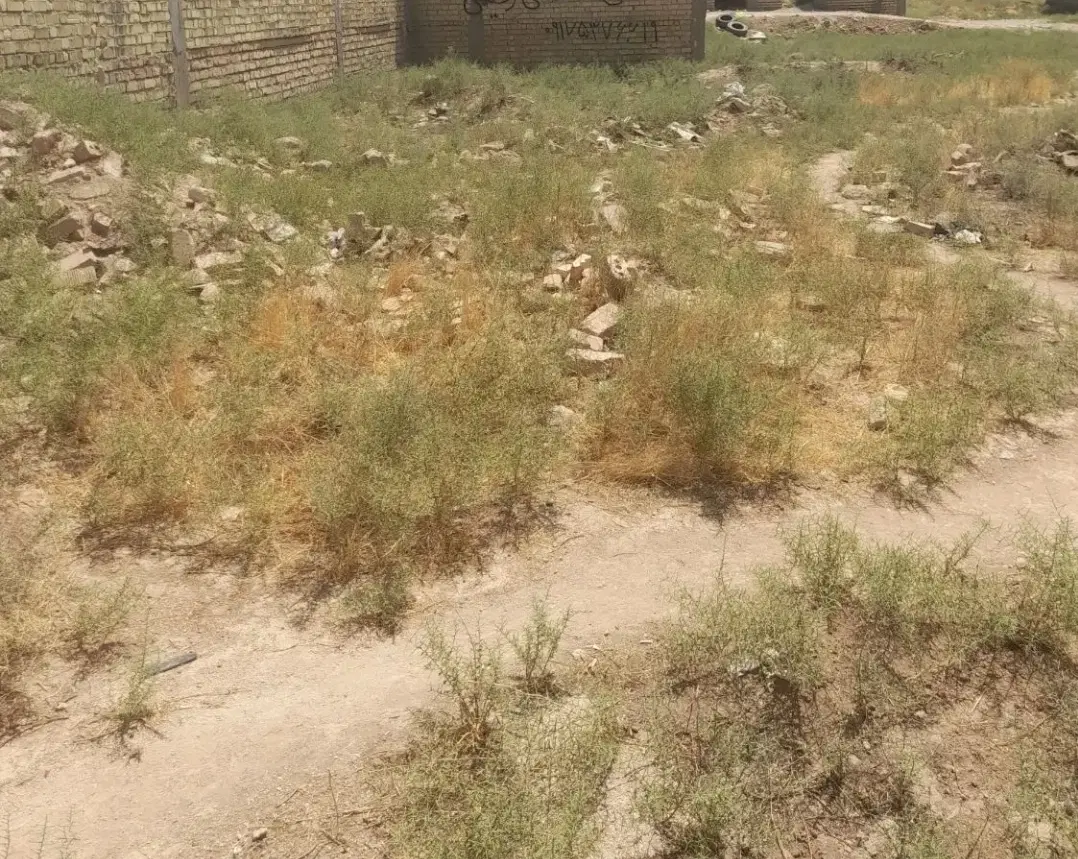زمین سر دونبش