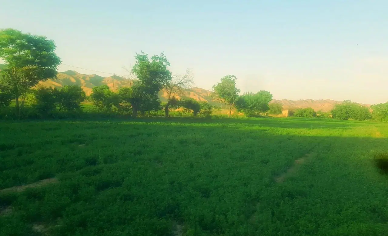 ۳۰۰۰مترزمین با۱۲ ساعت درگلریز