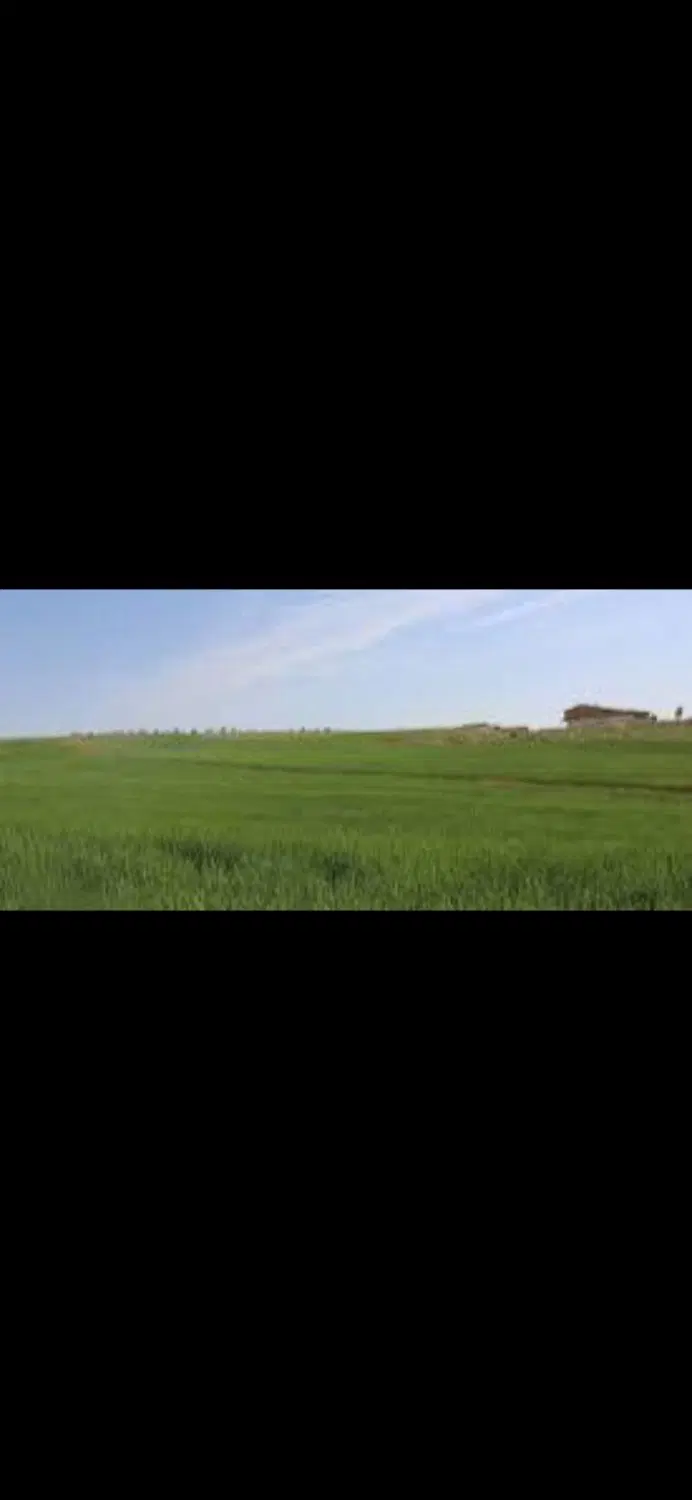 زمین در زعفرانیه