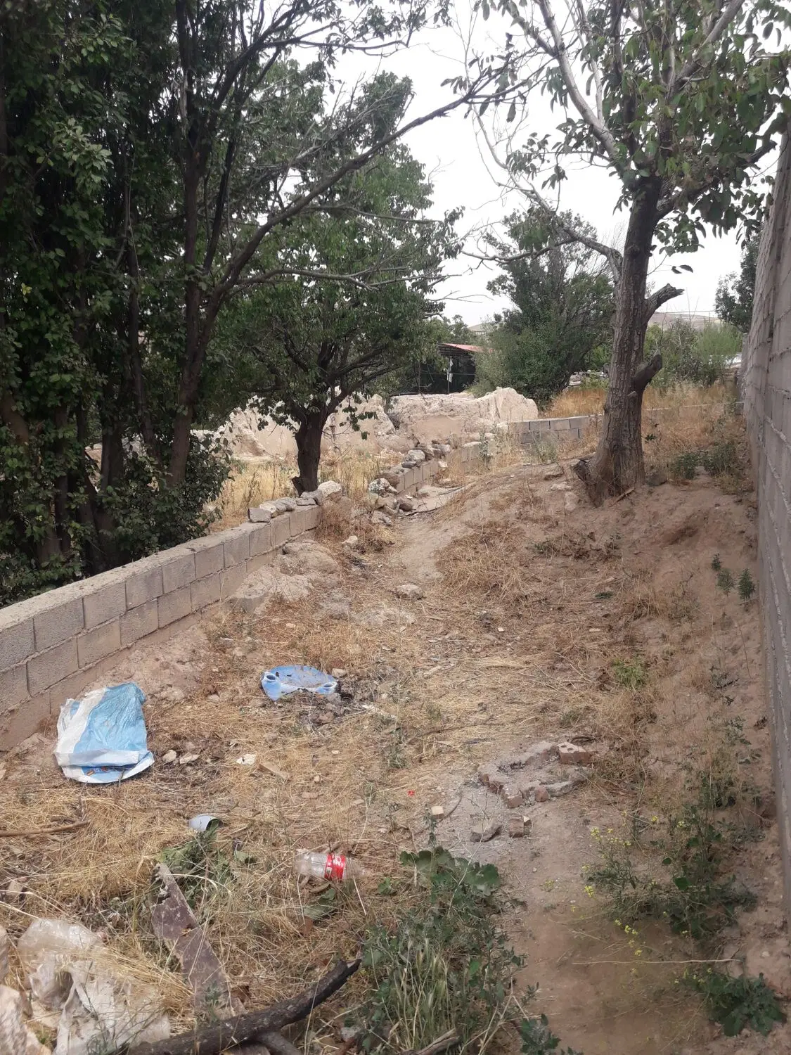 زمین ۳۲۰ متر ورودی صومعه زرین