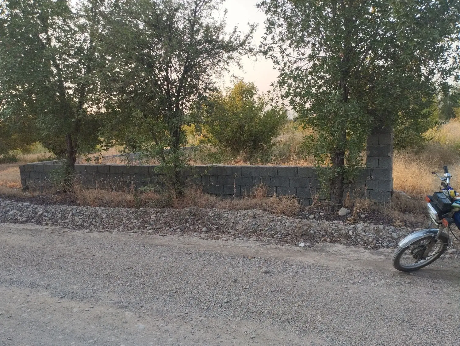 باغچه ۲ هزار متری..