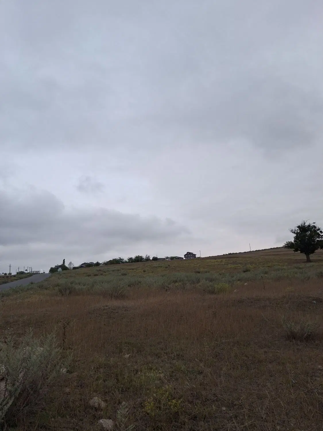 زمین کشاورزی