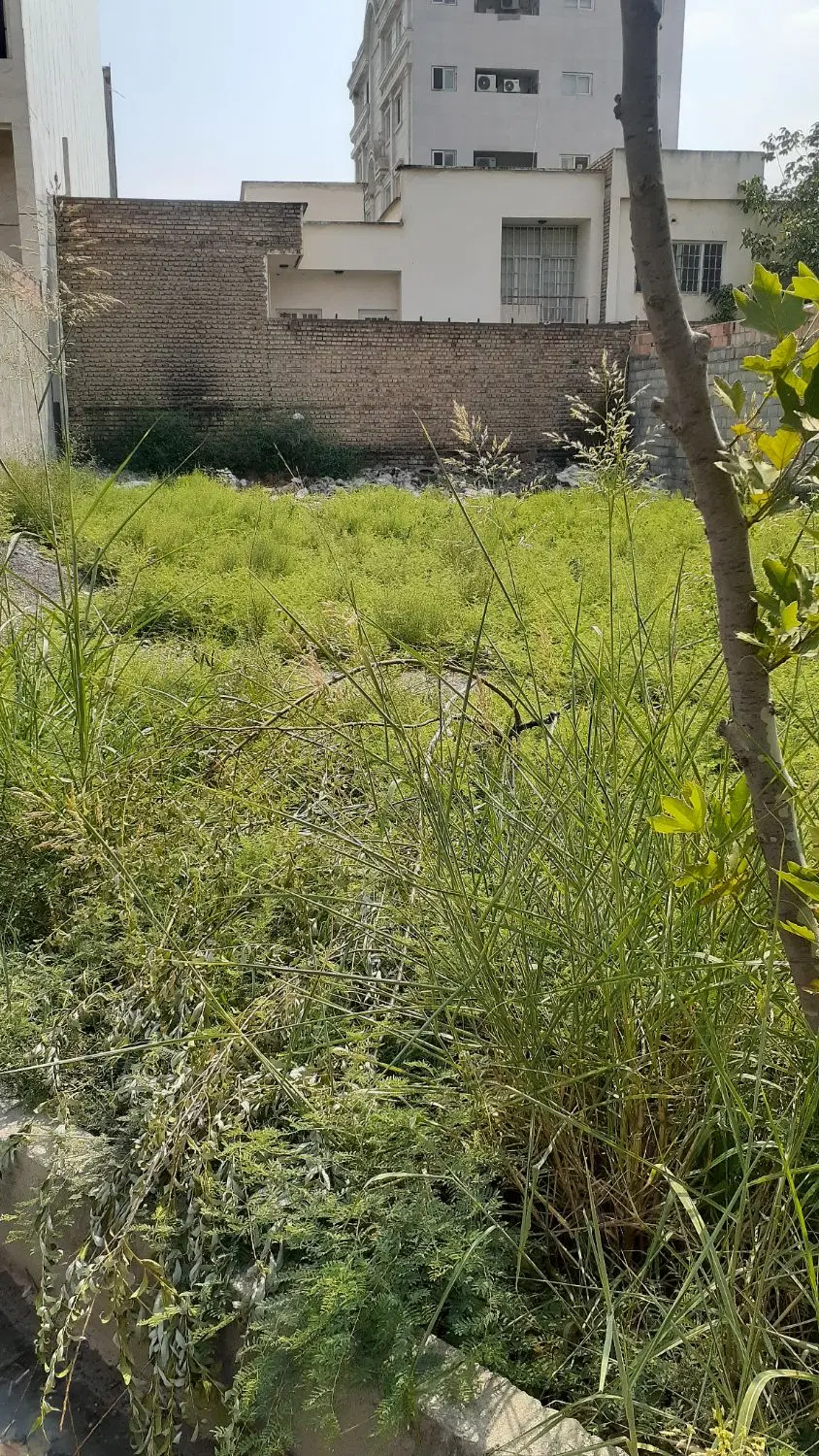 زمین