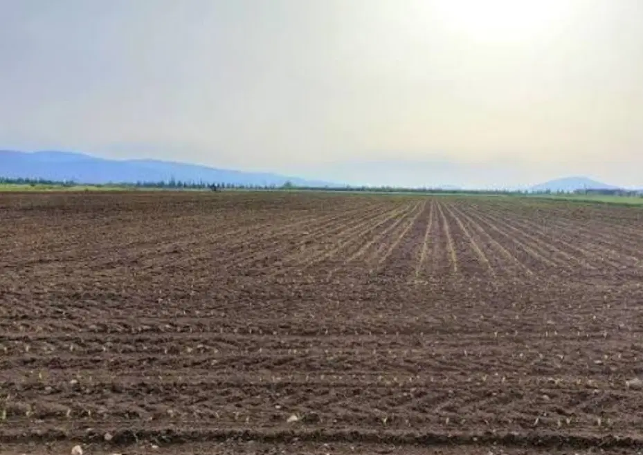 زمین کشاورزی