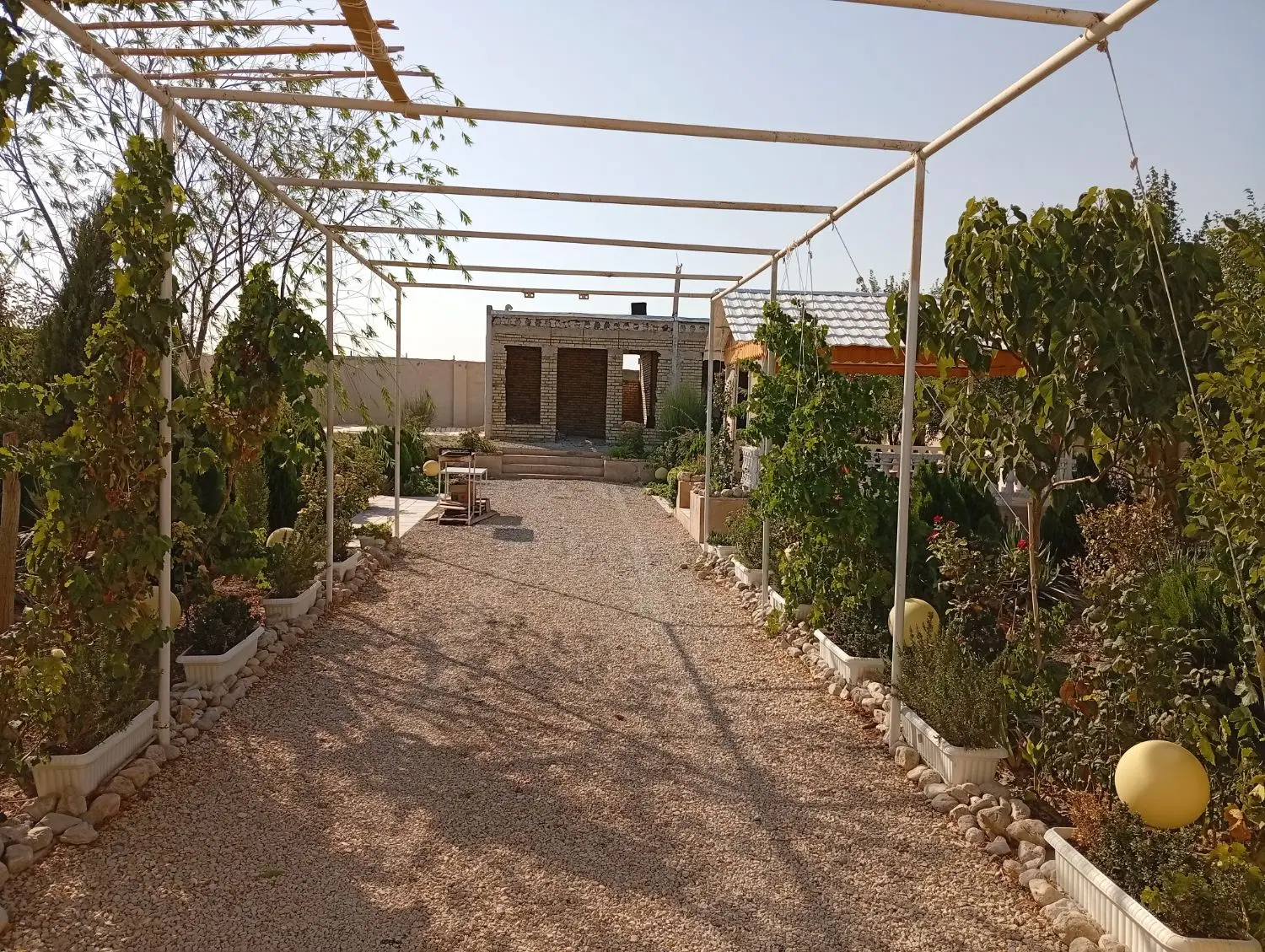 باغ سند دار علی