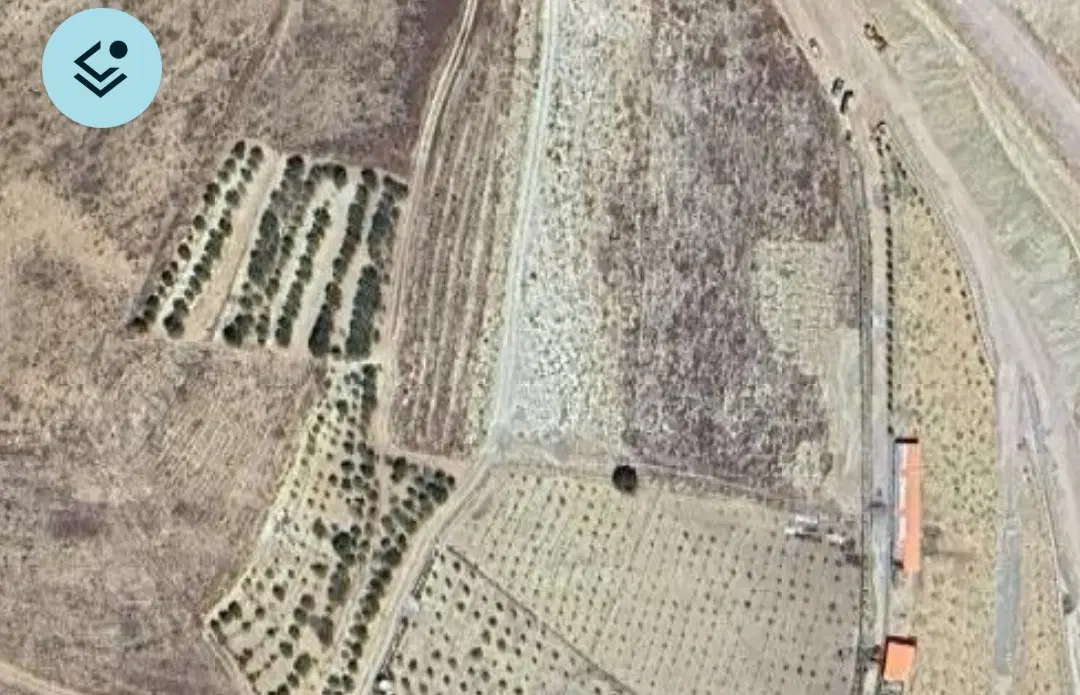 باغ سنتی بادام در زرشک