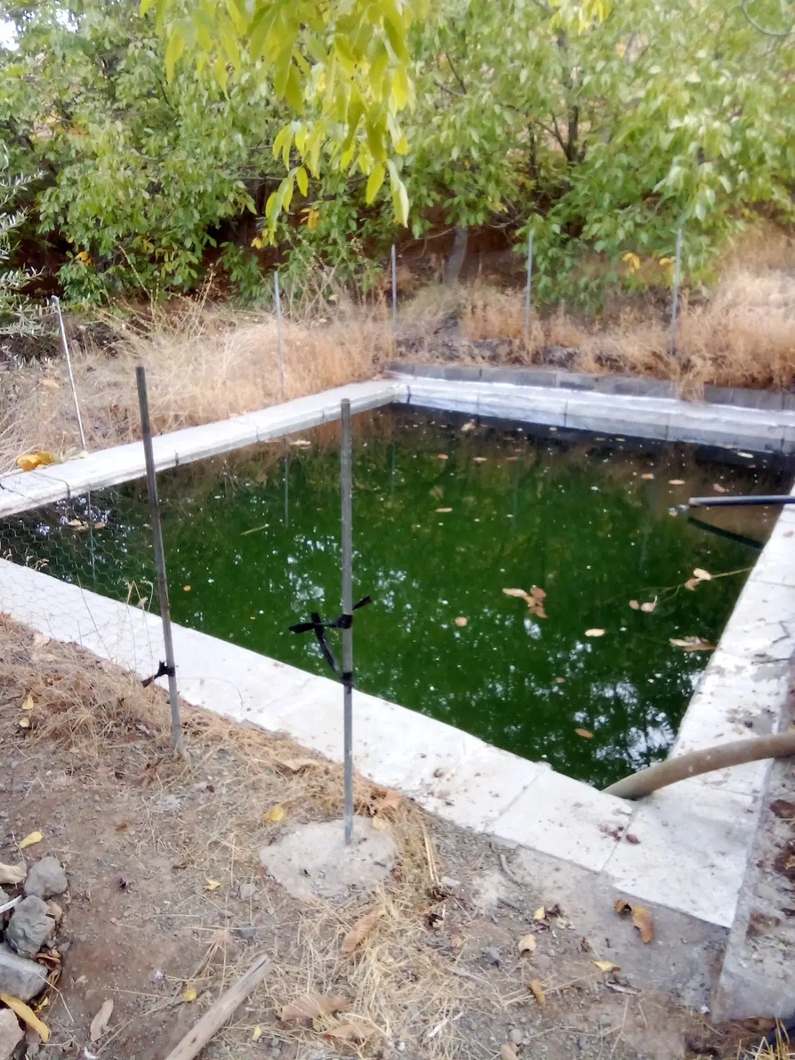 زمین کشاورزی
