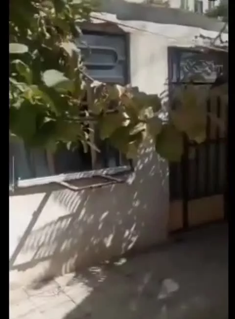 اجاره ویلایی دربست 50 متری