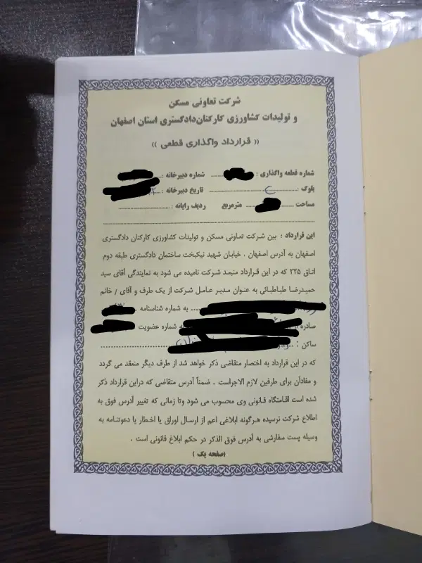 دادگستری جنوبی