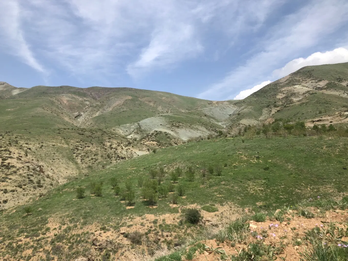 زمین با چشمه و حق آب