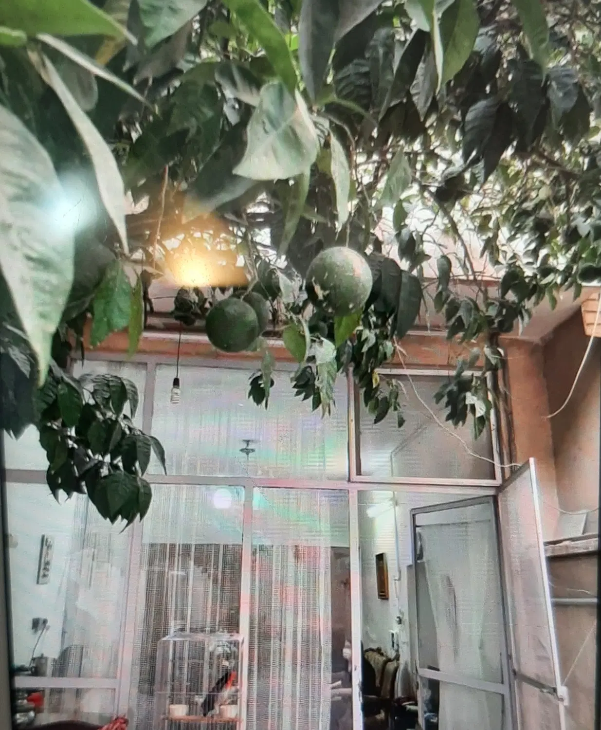 خانه قدیمی مادربزرگه
