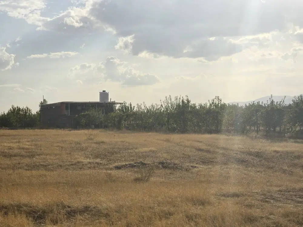 زمین باغ (سرنجیانه )- سیرینجیانه