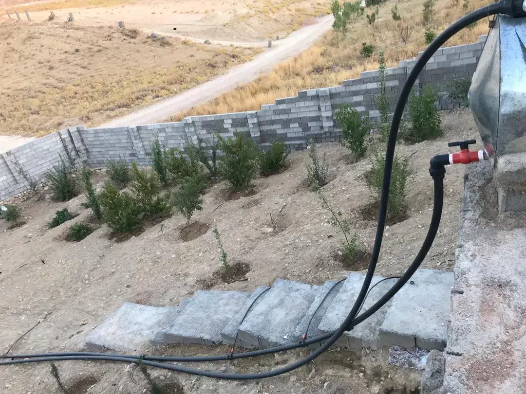 باغچه