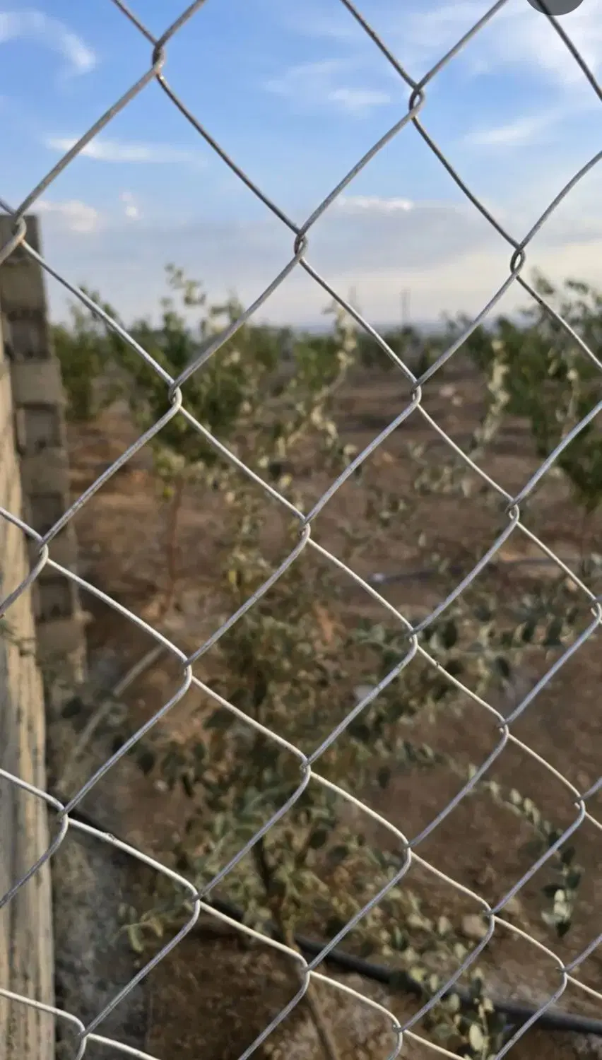 زمین گاوخانه ۱۰۰۰متری